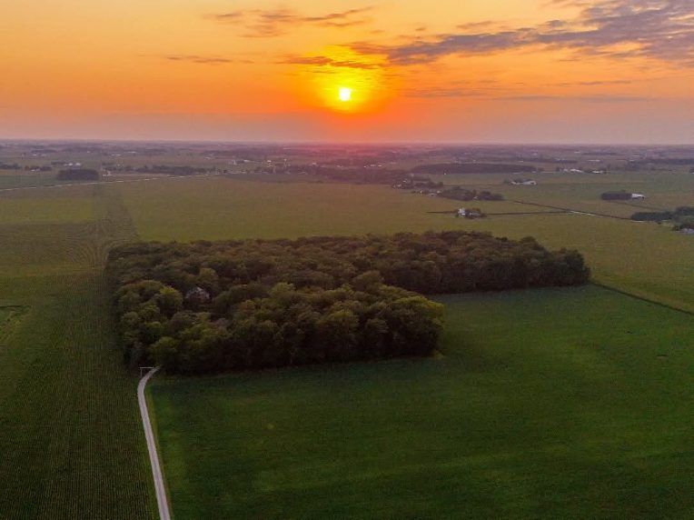 Aerial view of a green field and dense trees at sunset with orange sky