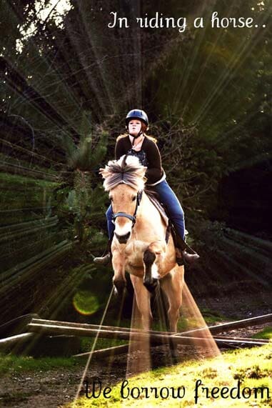 Woman on horse jumping over obstacle - Horse riding lessons in Olalla WA