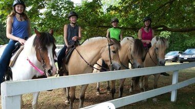 Row of riders on horses - Horse riding lessons in Olalla WA
