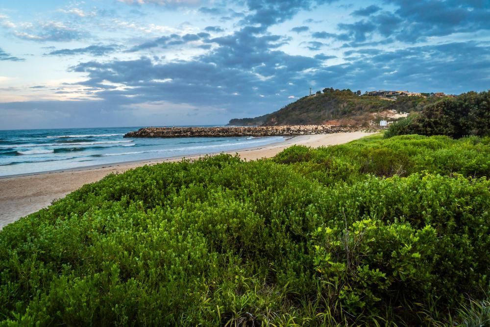 A Beach With a Lot of Green Bushes and Trees Surrounding It — 4WD Slashing & Large Area Mowing In Evans Head, NSW