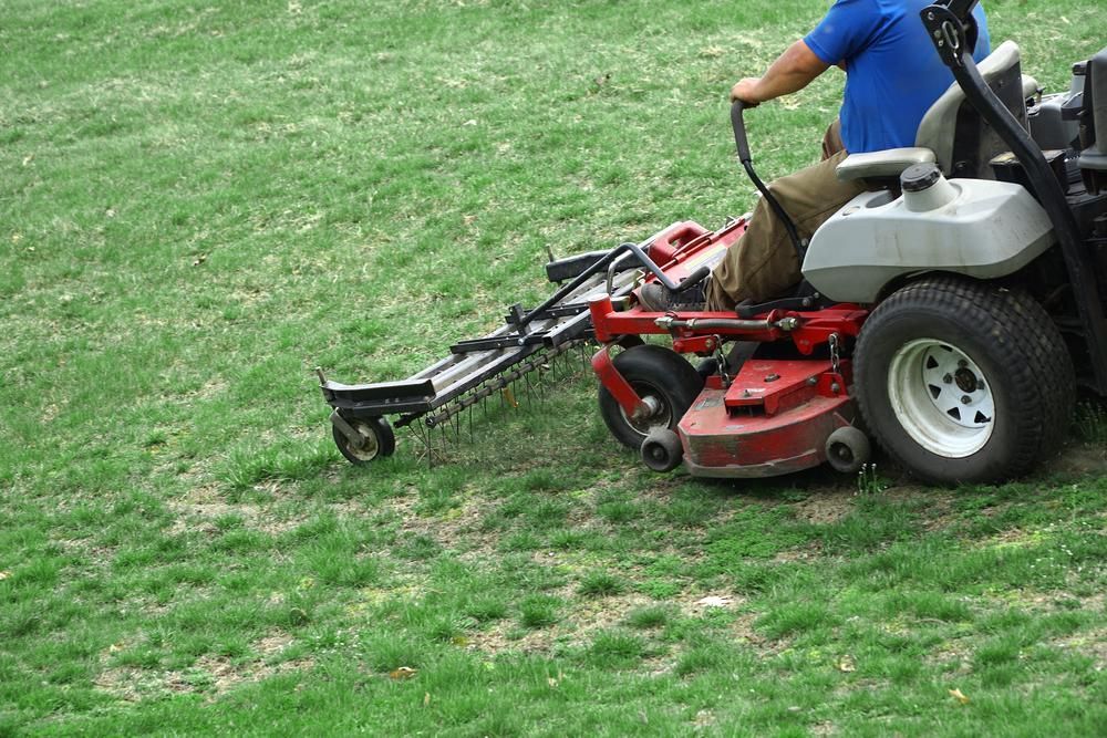 Lawn Mowing Services Evans Head | 4WD Slashing & Large Area Mowing
