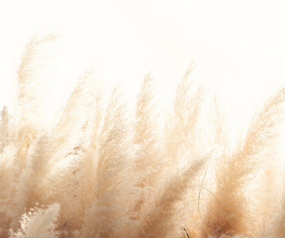 Ein Büschel hohes Gras, das vor einem weißen Hintergrund im Wind weht.