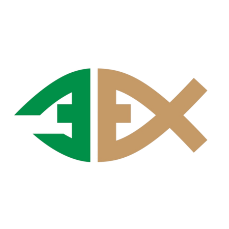 A&E Health and Wellness logo with green and gold abstract icon and text on white background
