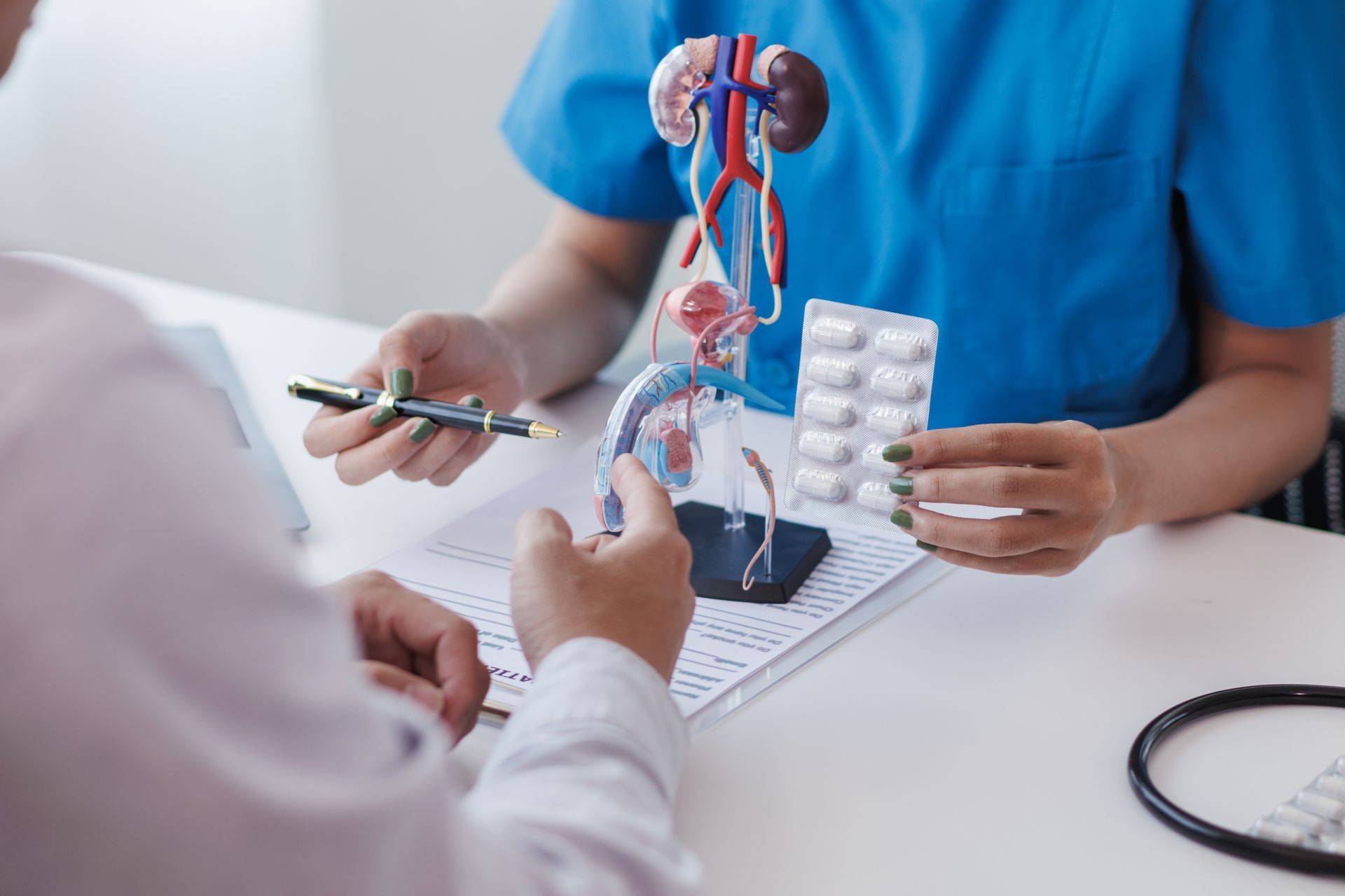 Medical professional holding a human anatomy model and pill blister pack during a consultation