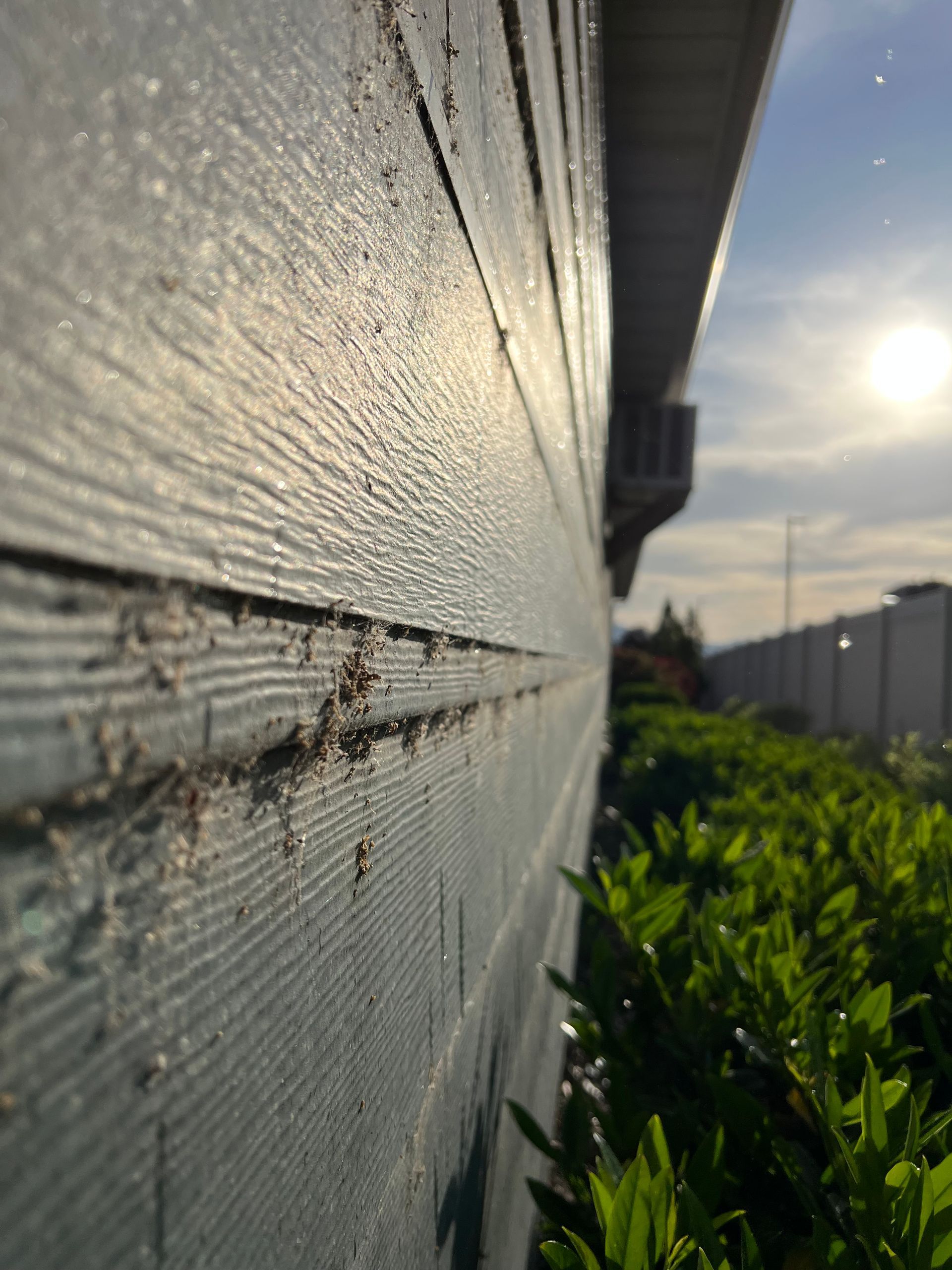 Close-up of a textured wooden wall with sunlight casting shadows, partially obscured foliage below, and a bright, slightly cloudy sky in the background.