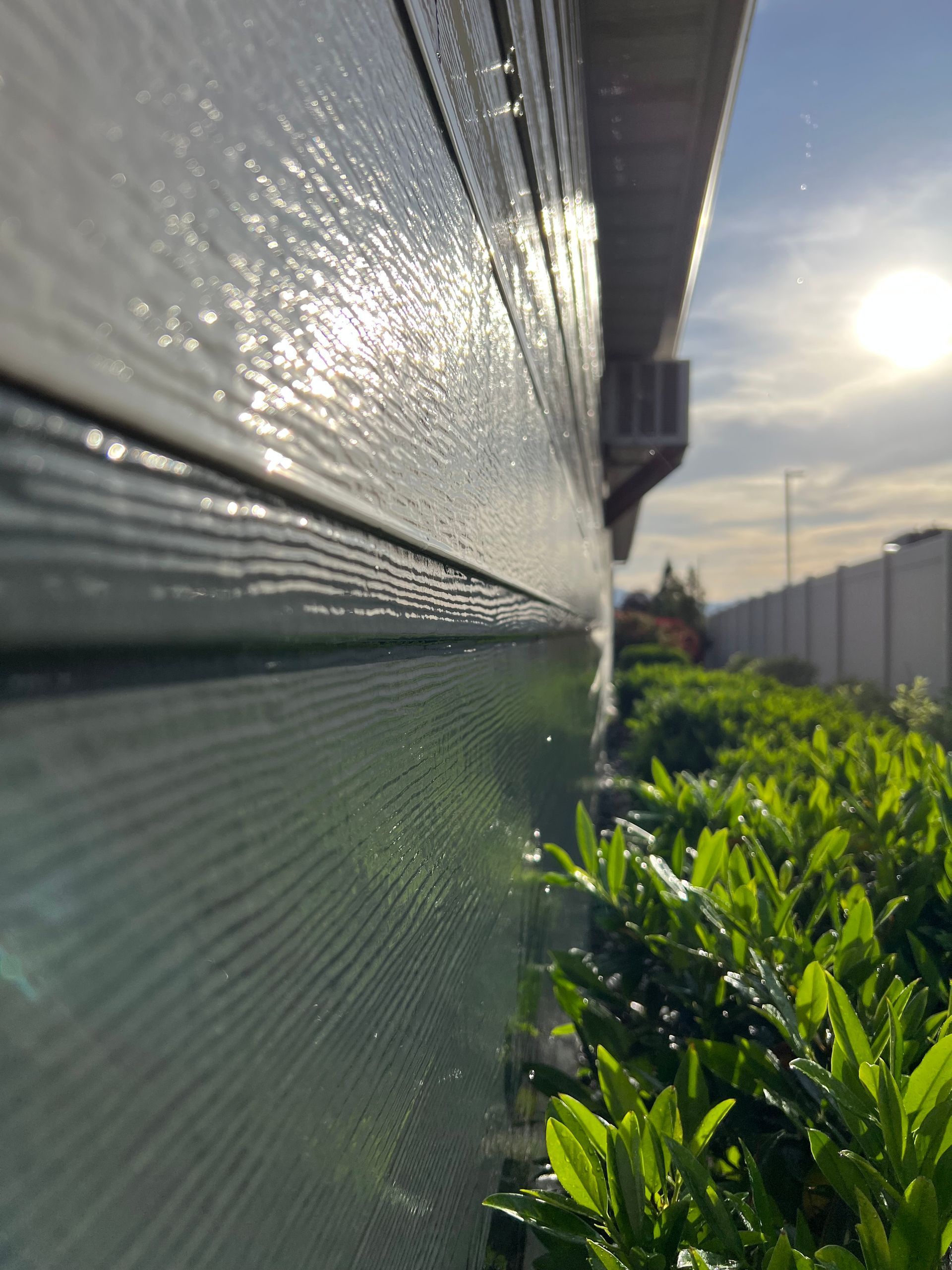 Close-up of a sunlit wooden wall on the left, glistening from moisture, with green bushes beneath. Background includes a fence and hazy sky.