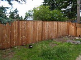 Fence after cleaning