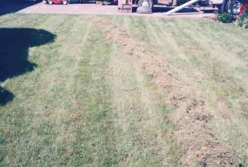 Pulled out grass
