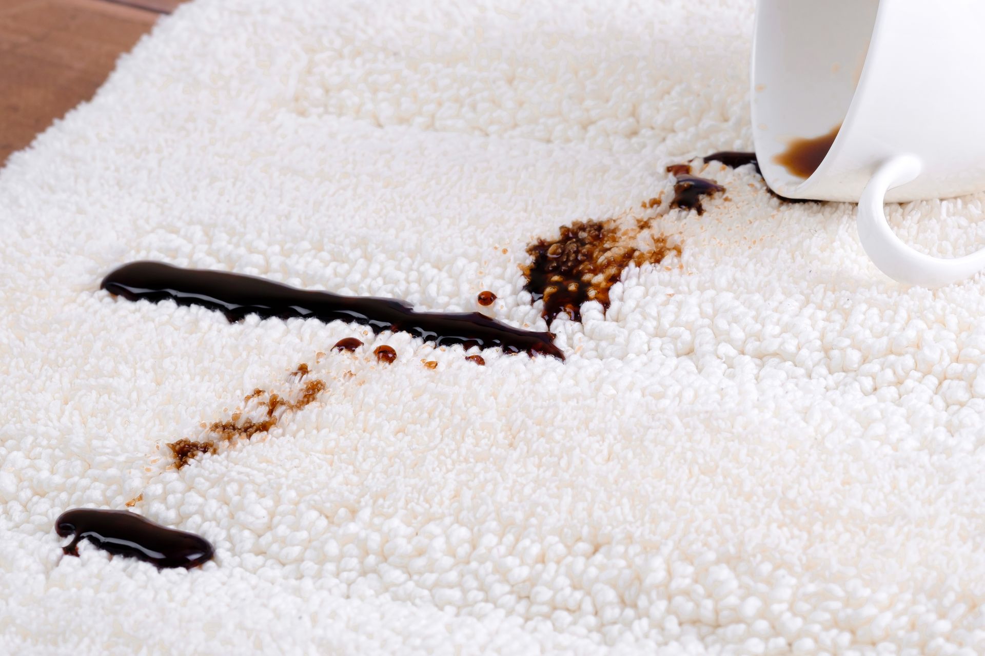 professional carpet stain removal in Palm Springs CA