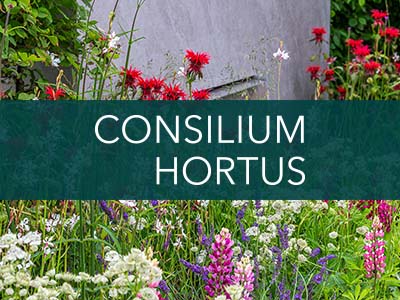 Case Study CH: Consilium Hortus