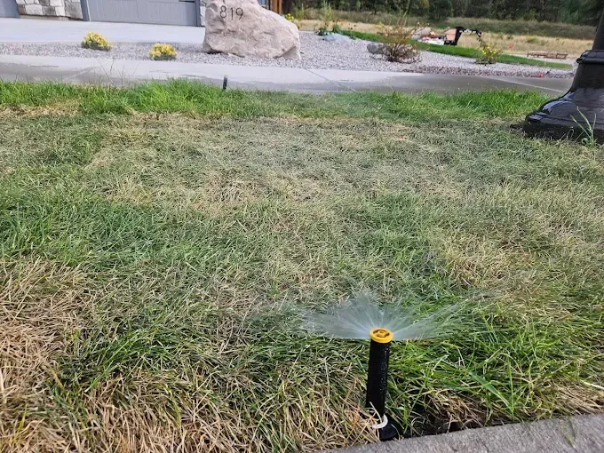 A lawn sprinkler is spraying water on a lush green lawn.