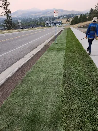 A person is walking down a sidewalk next to a road.