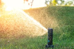 A sprinkler is spraying water on a lush green lawn.
