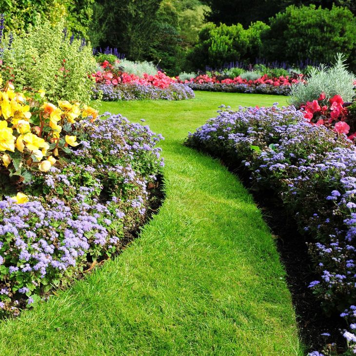 A garden with purple and yellow flowers and green grass