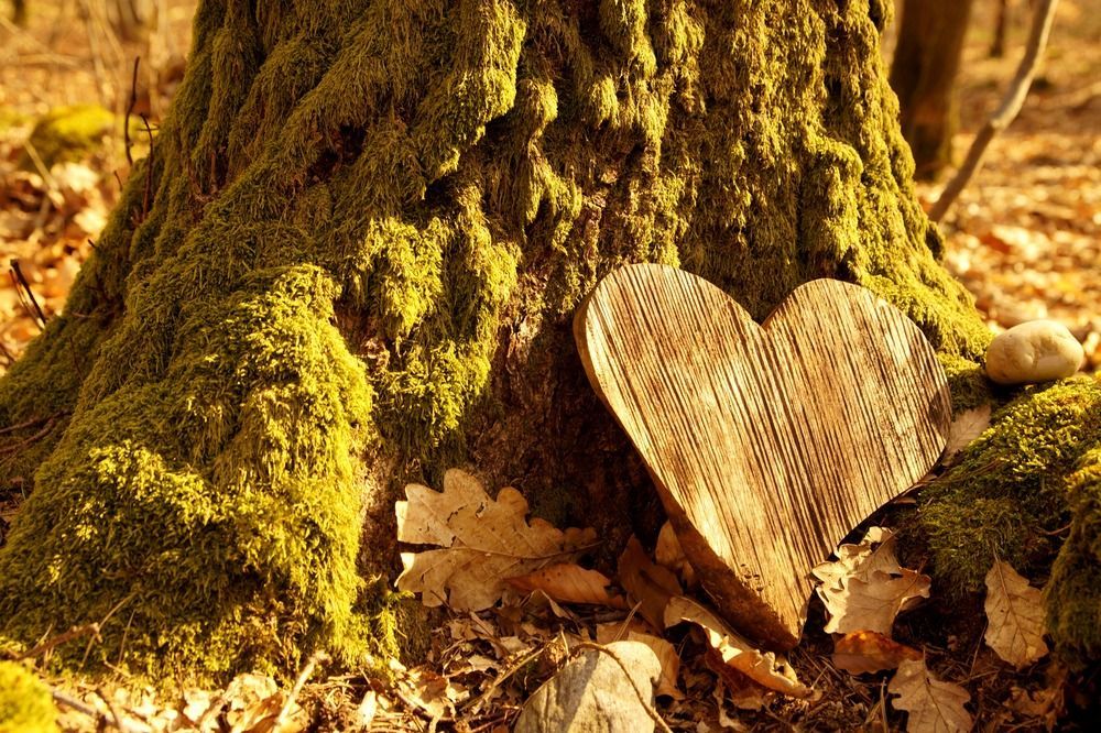 Heart-shaped wooden sculpture leaning against a moss-covered tree trunk in an autumn forest.