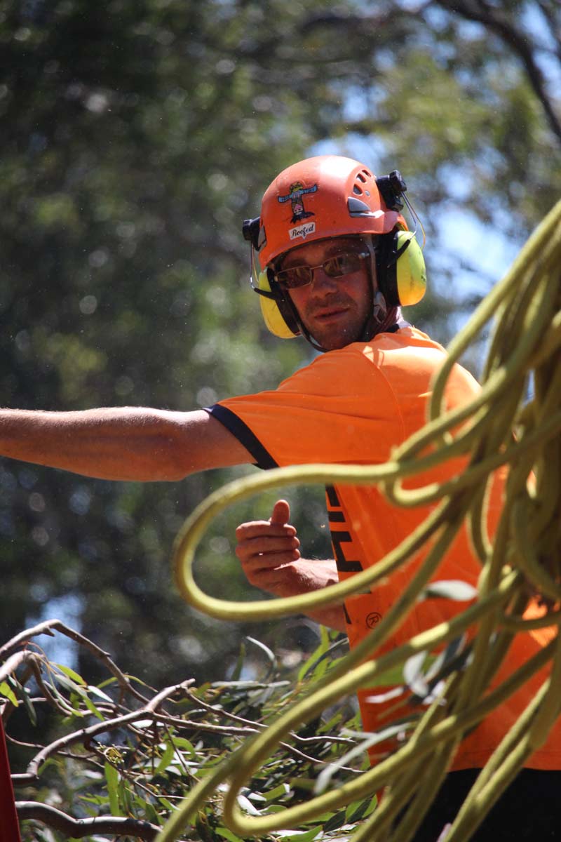 tree trimmer in an orange shirt with ropes