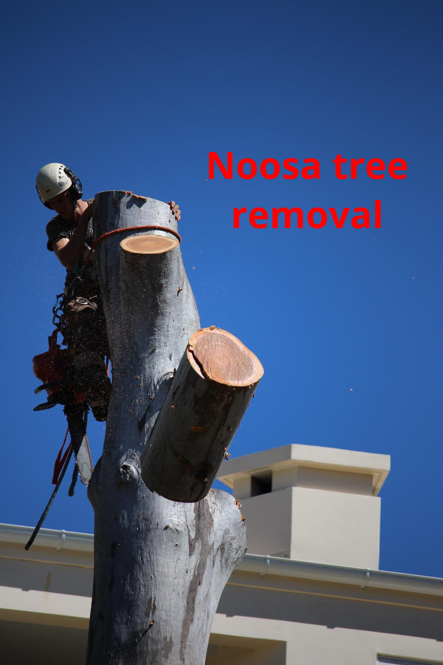 TREE FIX tree removal noosa