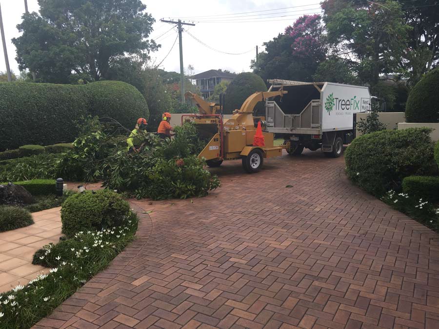 Tree pruning machine on the Sunshine Coast