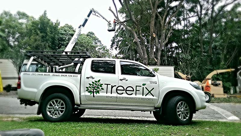 tree fix company truck