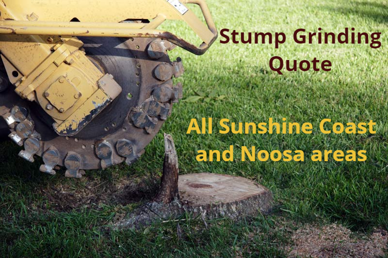 Stump Grind Quotes Sunshine Coast
