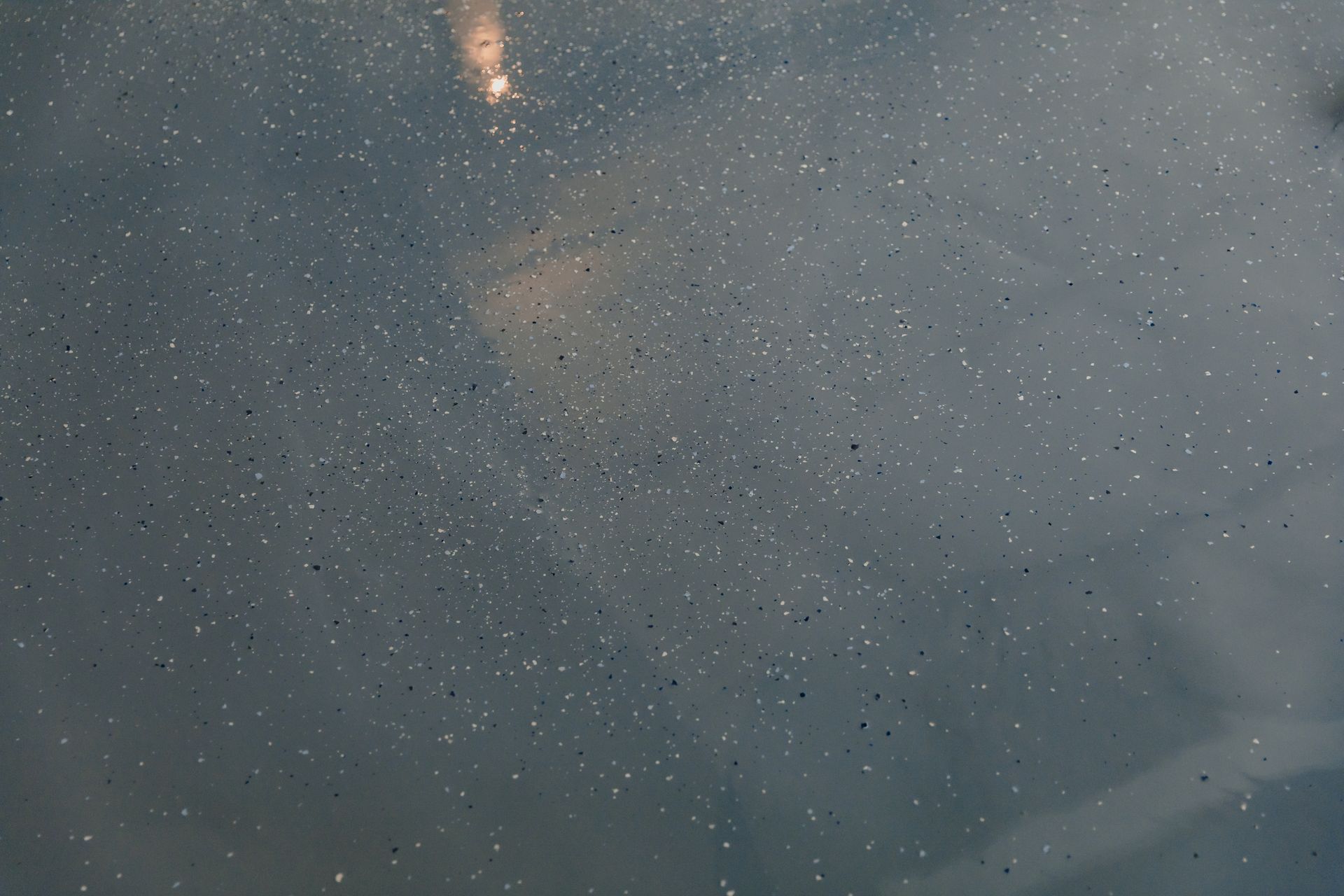 Dark gray surface speckled with tiny, bright dots. A blurred, lighter area is visible in the background.