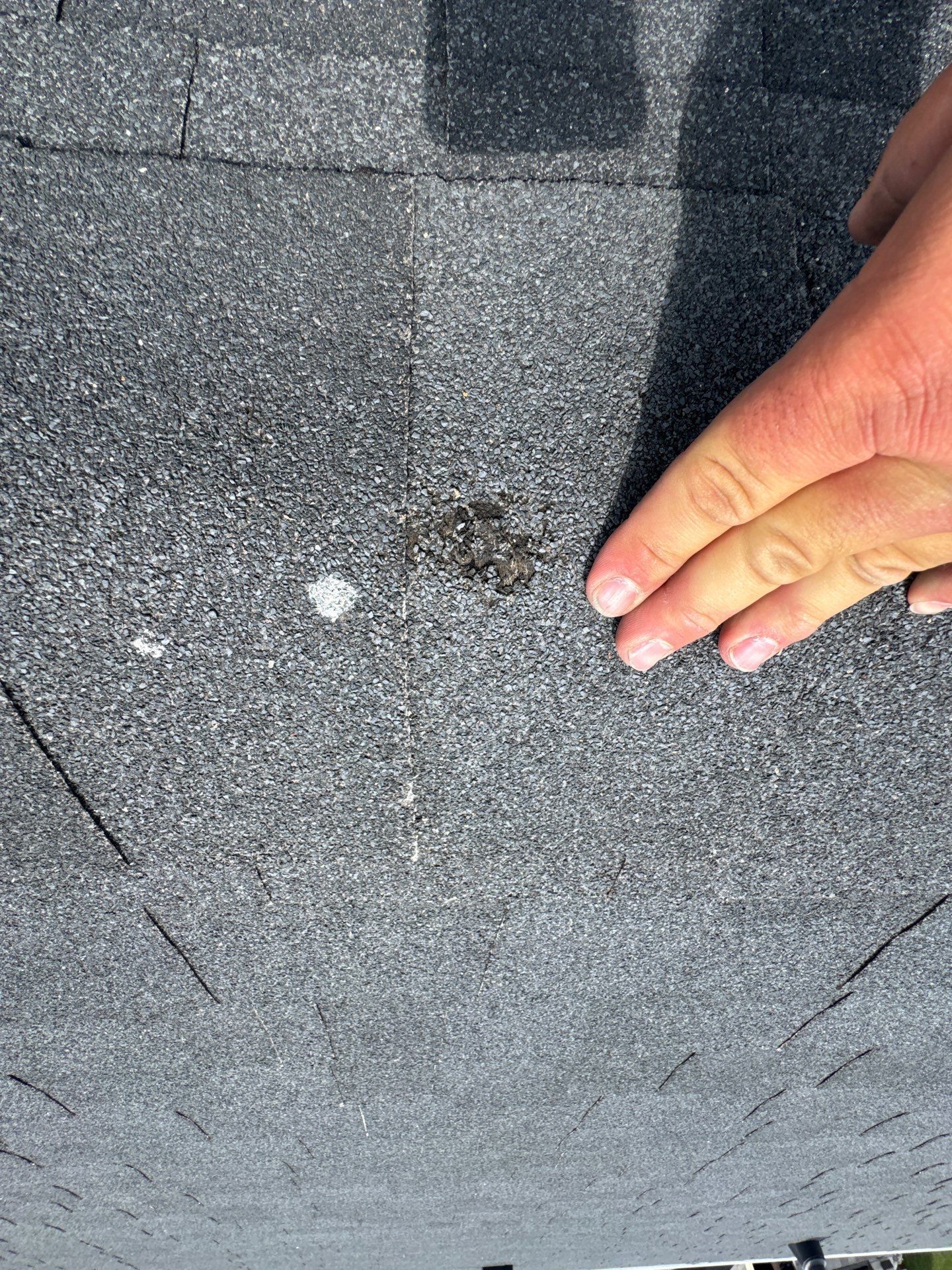 Hand points to a dark spot on a weathered, gray asphalt shingle roof.