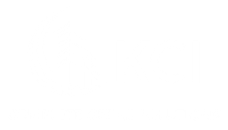 A white background with a few lines on it