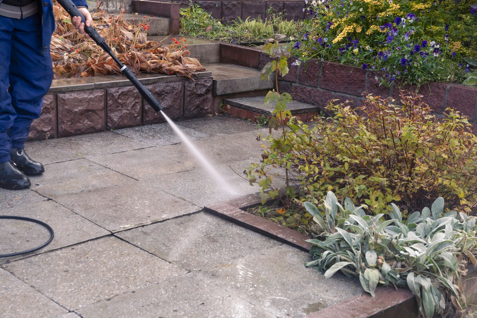 Person pressure washing a concrete patio next to a garden.