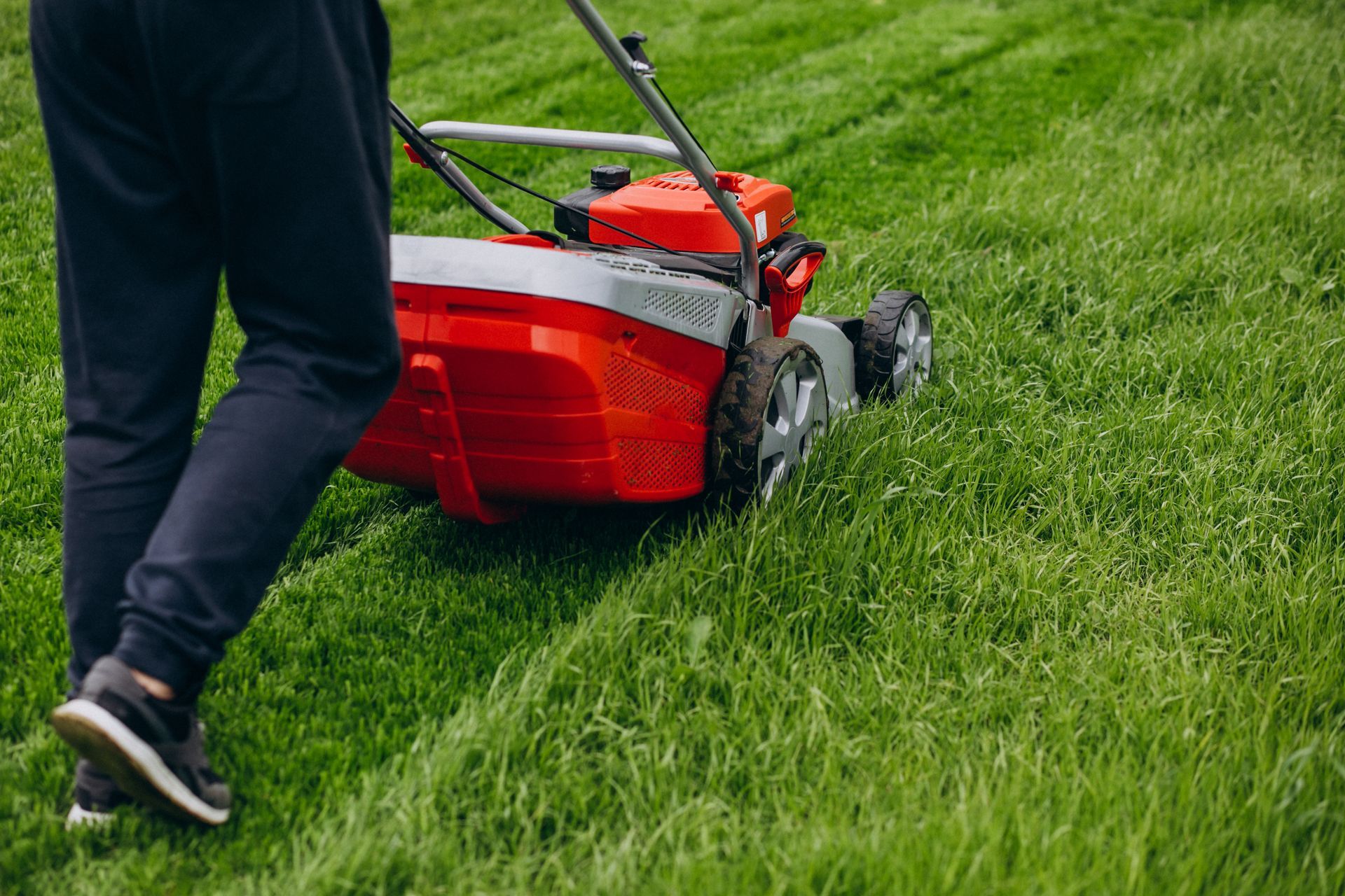Person mowing a grassy lawn with a red and gray lawnmower on a sunny day.