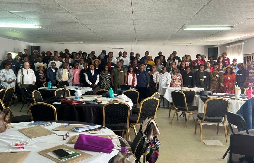 Volunteers in Africa