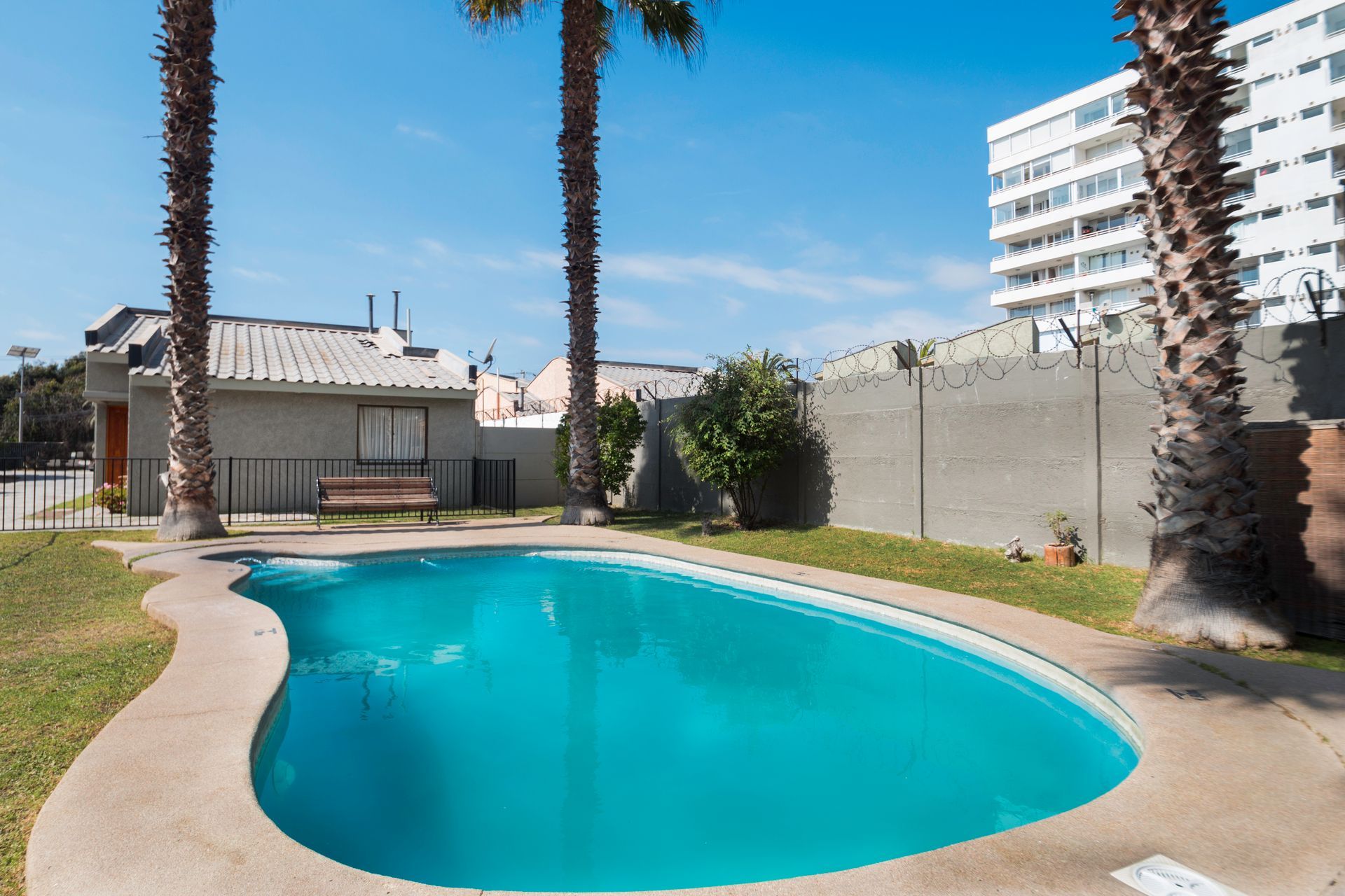 A large swimming pool with palm trees in the background
