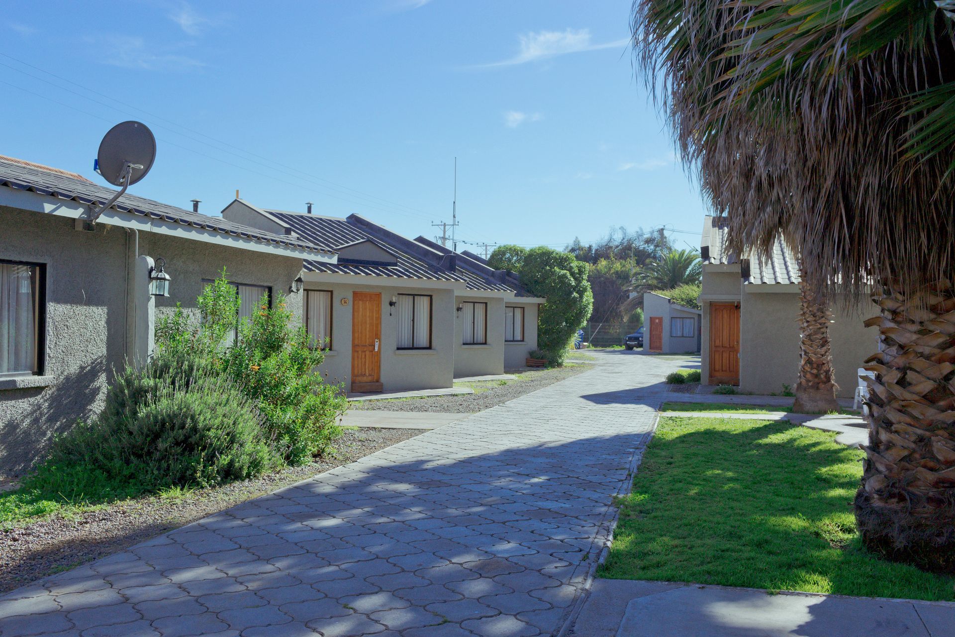 A row of houses on a sunny day with a palm tree in the foreground.