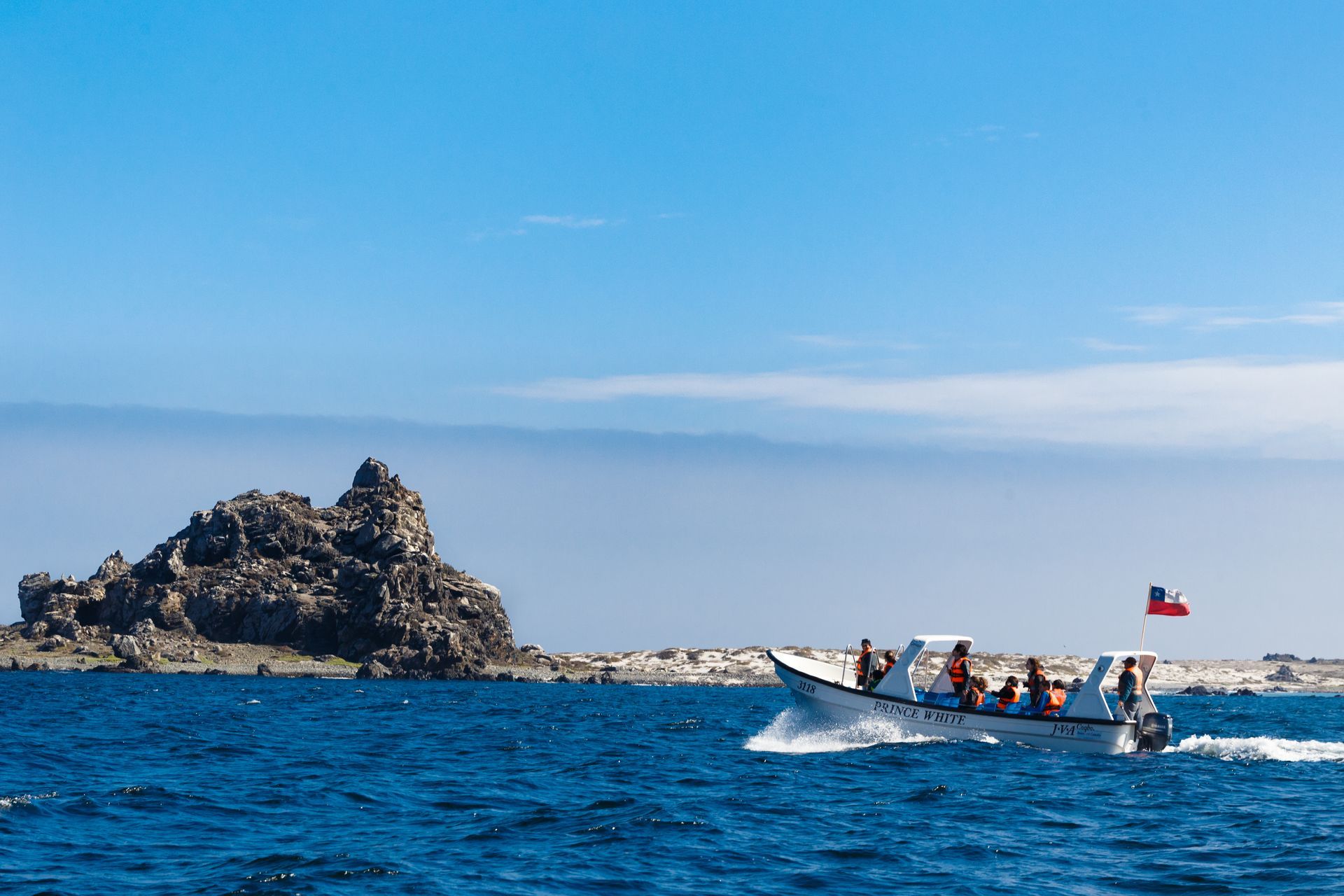 Paseos en bote a Isla Damas