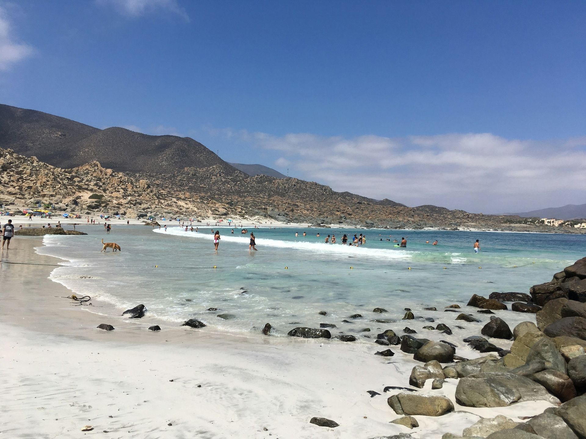 Playa de Totoralillo en Coquimbo