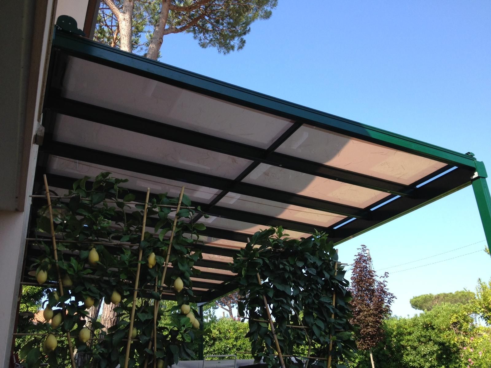 Pergola verde con copertura bianca, viti e cielo azzurro.