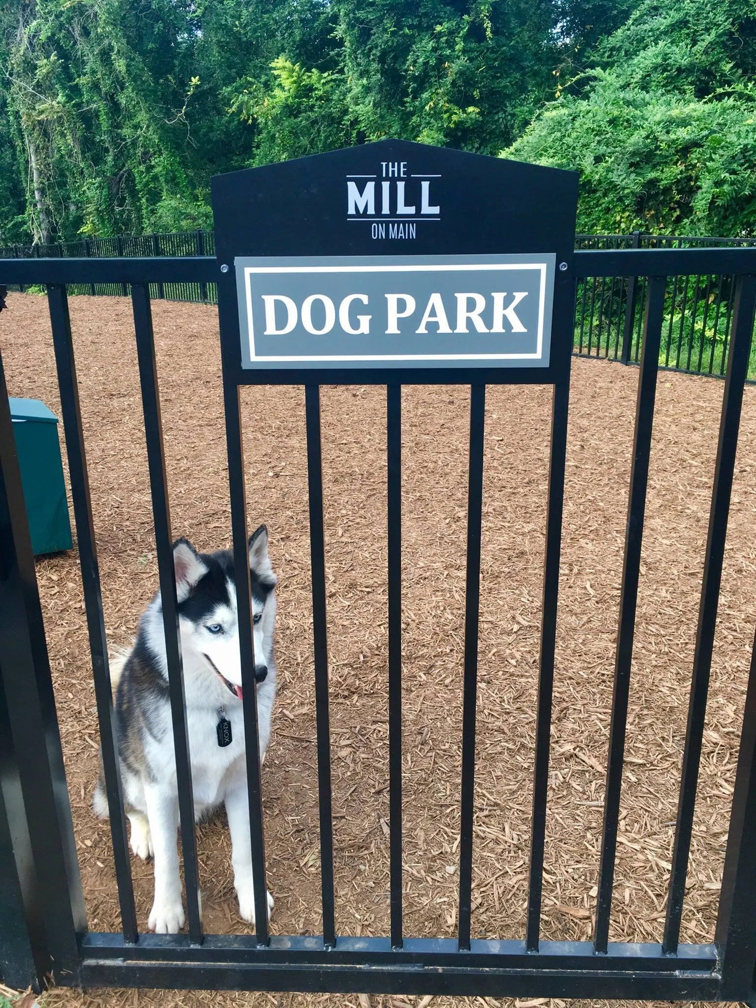 A fenced dog park with a sign and a Siberian Husky sitting by the gate. Our Wexhaw, NC apartments provide the best in luxury living in downtown Waxhaw. Ready to make our community your home? Contact Waxhaw Mills today to learn more and schedule your personalized tour!