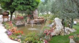 un giardino con fontana