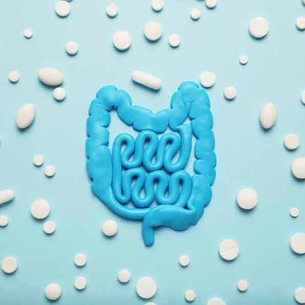 DRA. ANA GUADALUPE RUBIO ÁVALOS