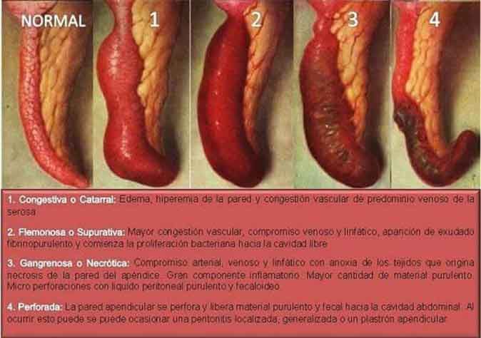 DRA. ANA GUADALUPE RUBIO ÁVALOS