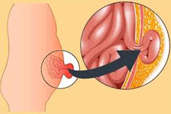 DRA. ANA GUADALUPE RUBIO ÁVALOS