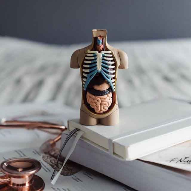 DRA. ANA GUADALUPE RUBIO ÁVALOS