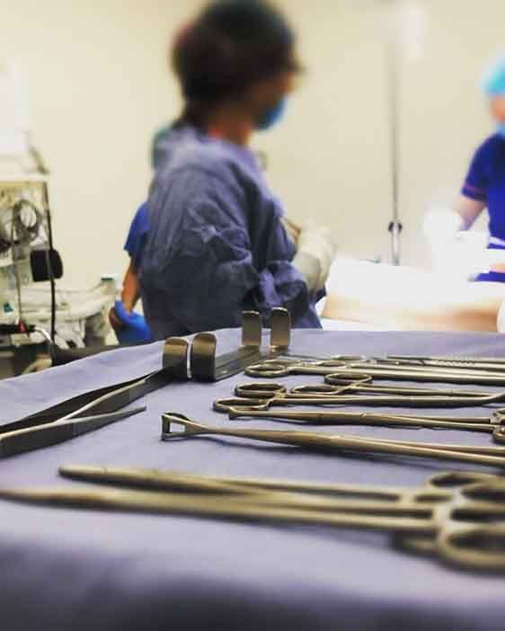 DRA. ANA GUADALUPE RUBIO ÁVALOS