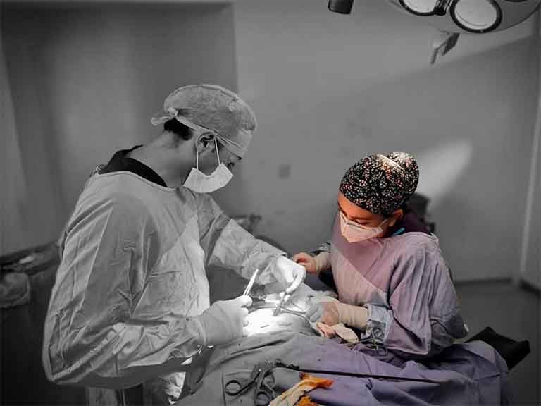 DRA. ANA GUADALUPE RUBIO ÁVALOS