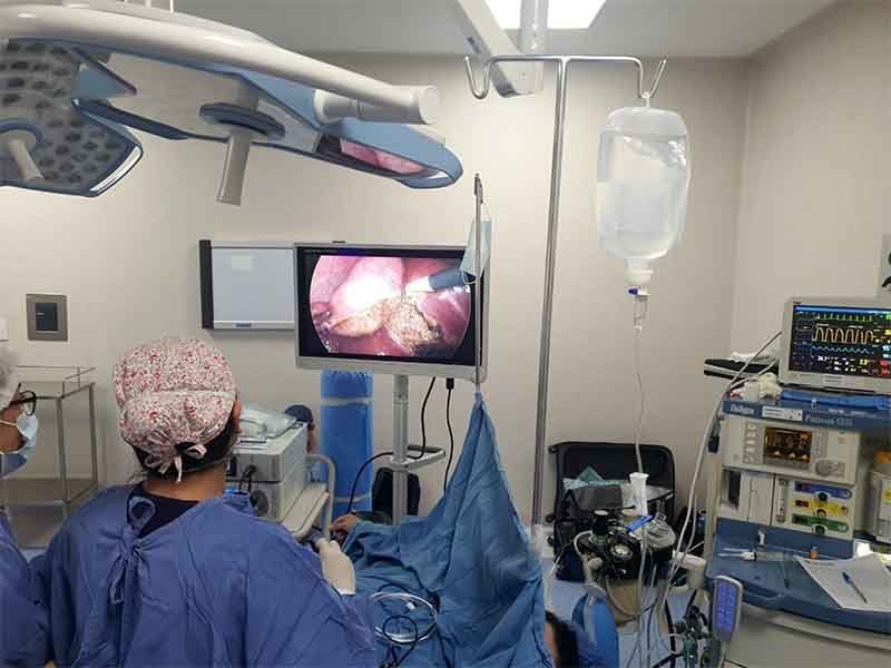 DRA. ANA GUADALUPE RUBIO ÁVALOS