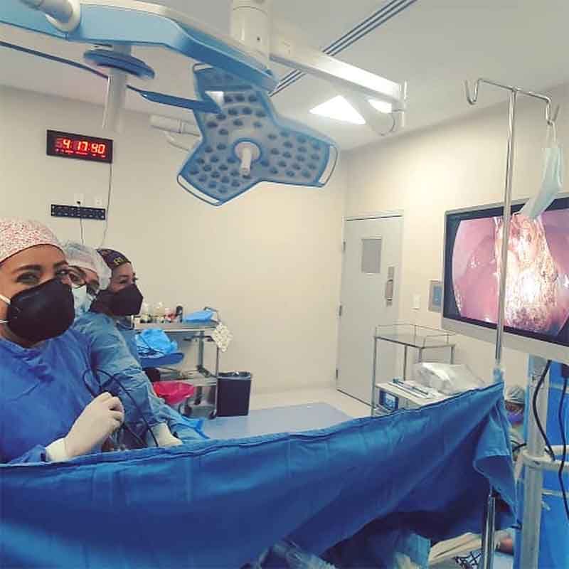 DRA. ANA GUADALUPE RUBIO ÁVALOS