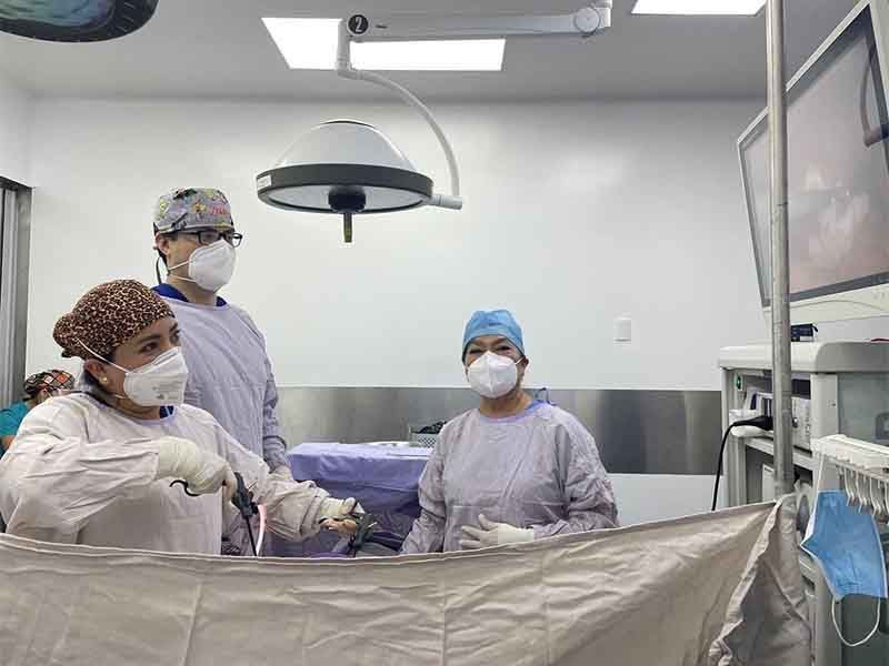 DRA. ANA GUADALUPE RUBIO ÁVALOS