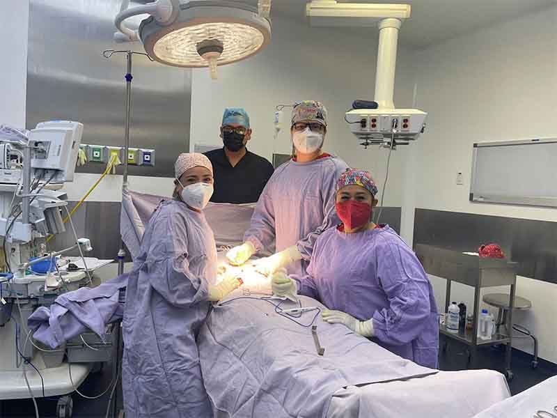 DRA. ANA GUADALUPE RUBIO ÁVALOS