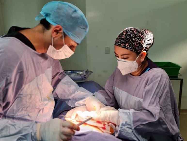 DRA. ANA GUADALUPE RUBIO ÁVALOS