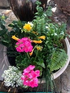 Flowers with vibrant color — Midland, TX — Franklin Foliage Landscaping