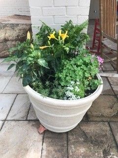 Cute flowers in a pot — Midland, TX — Franklin Foliage Landscaping